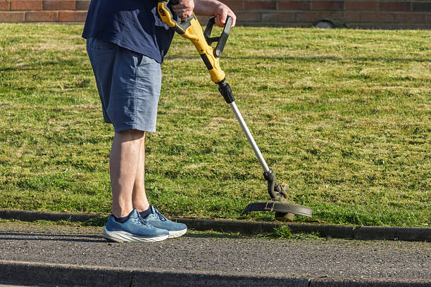 istock Man using electric grass trimmer to edge residential lawn 2227018179