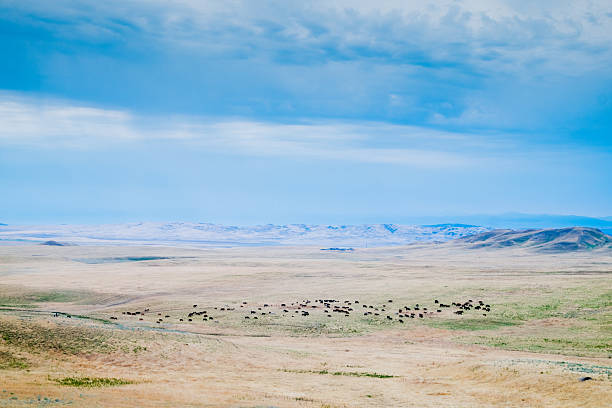istock Burned Valley in Vashlovani National Park 2227021149