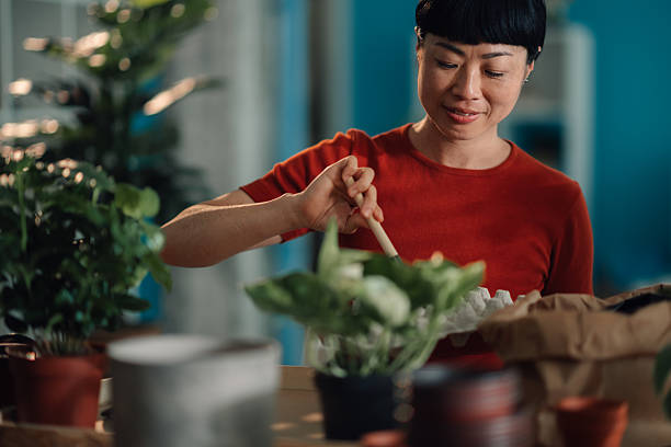 istock Woman repotting plants at home using eco-friendly pots 2227021177
