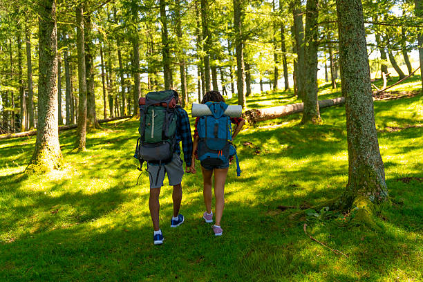 Young couple hiking through a vibrant green forest, enjoying the warmth of summer sunlight while connecting in nature's tranquility