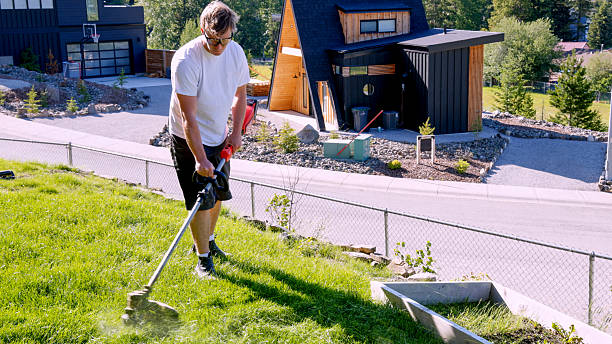 istock Young man mowing new grass lawn with weed wacker 2227031748