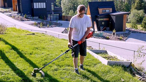 Young man mowing new grass lawn with weed wacker