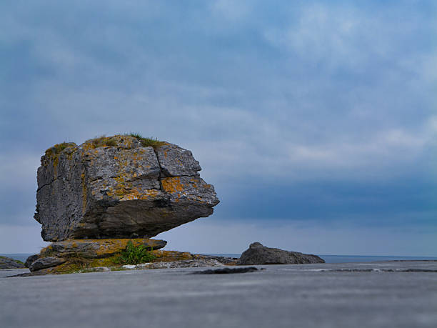 A striking erratic stands on the rugged limestone pavement of the Burren, Ireland, under a moody sky.