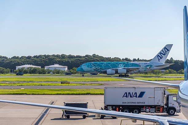Tokyo, Narita, Japan - July 25, 2025: All Nippon Airlines Airbus A380 Green Turtle livery registration number JA382A landing at Tokyo Narita International Airport