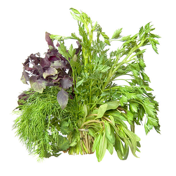 istock Green fresh spices 2227041970