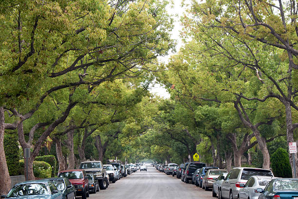 Street Parking