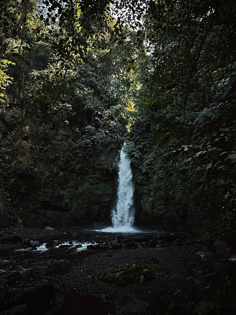 istock Secluded Jungle Cascade in Bali 2227043687