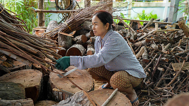 A woman is working wood storage area, carefully arranging and sorting logs and branches. she is wearing gloves and is focused her task, surrounded by variety of wood materials. scene conveys sense