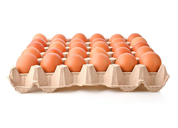 egg tray with fresh brown eggs isolated on white background