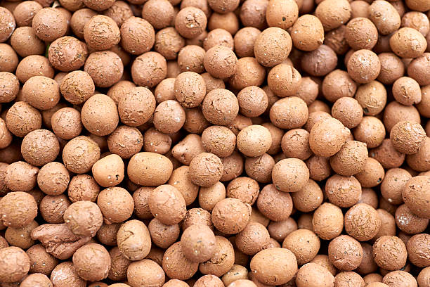 istock Clay Pellets for Hydroponic Gardening 2227048184