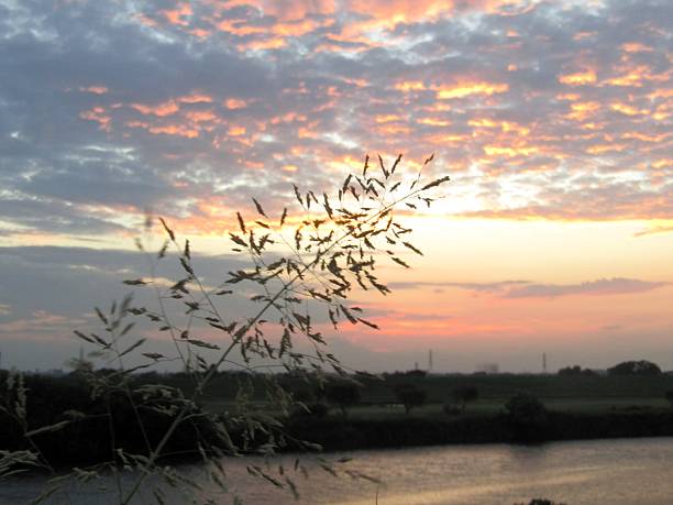 Sunset. Impression.