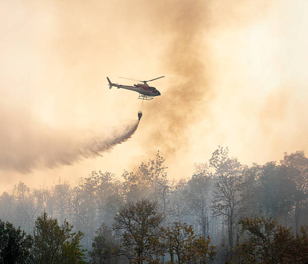 istock Fire fighting helicopter dropping water to put out a forest fire. 2227056397