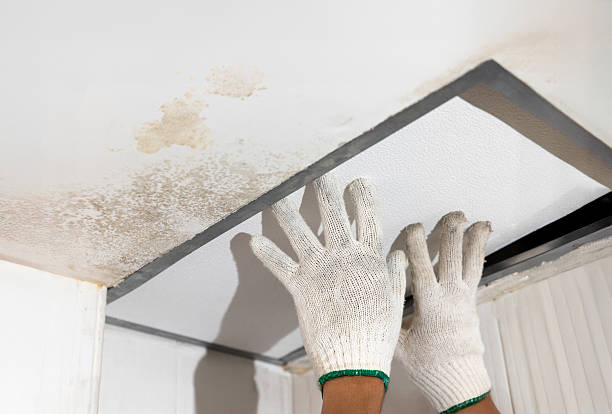 istock Worker fix leaking pipe in ceiling ,close-up of a stain on the ceiling. 2227056511