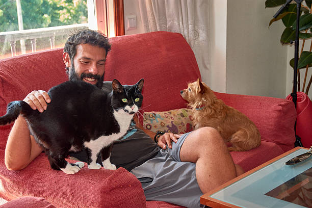istock Bearded young man accompanied by his black cat with a white chest and a small ginger dog posing together in a home setting 2227057010
