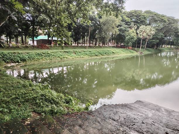 istock Serene lake scene with lush greenery and surrounding by  tree branches 2227058958