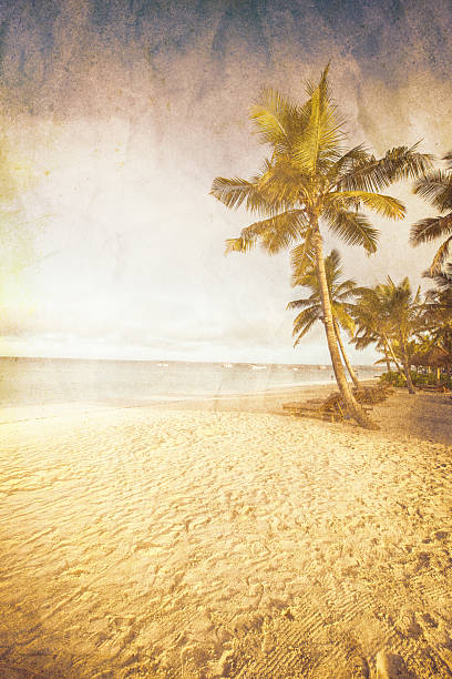 istock Coconut tree on the sky background. Retro styled picture 2227059551