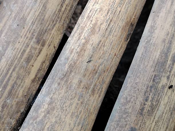 istock The dry soft grain bamboo sticks close pattern photo 2227061081
