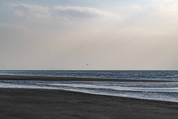 istock sunbeams on the sea and beach 2227062103