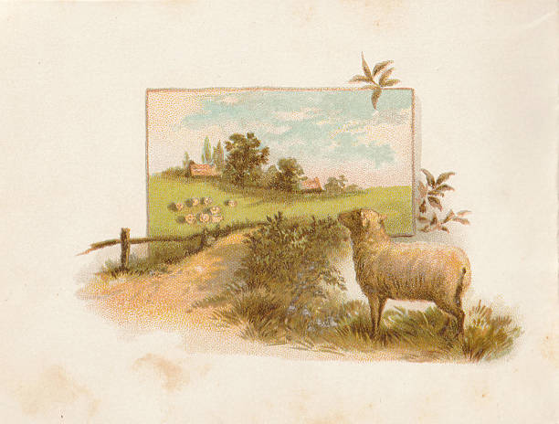 Sheep looking down country road to pasture and distant hills. Late 19th century vintage colour Illustration print by Alfred Woodruff, from 'He Leadeth Me' picture book on Psalm 23. From Hazell, Watson & Viney Printers and Binders Ld Aylesbury London. Chromo-lithograph probably. Age-faded and yellowed paper.