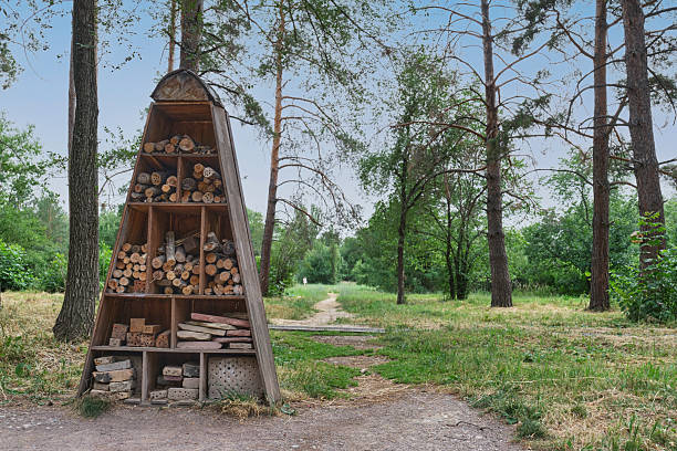 istock Insect Hotel in Forest Park 2227067825