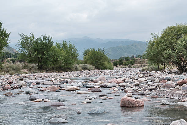 Shallow mountain Turgen river, with smooth rocks and boulders, surrounded by green trees and hills under a cloudy sky. Tranquil natural summer landscape in Kazakhstan.