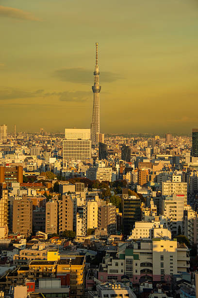 istock Golden hour of Tokyo SkyTree, Japan 2227070104