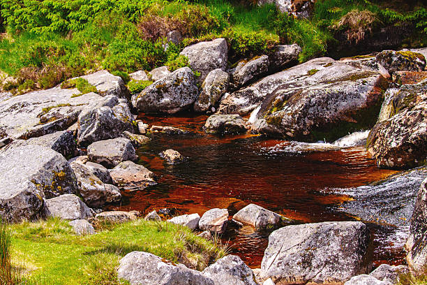 A mountain stream with distinctive amber-colored, peat-stained water flows through a boulder field of moss-covered granite rocks in Glenmacnass valley, County Wicklow, surrounded by lush green vegetation and heather typical of the Irish uplands.