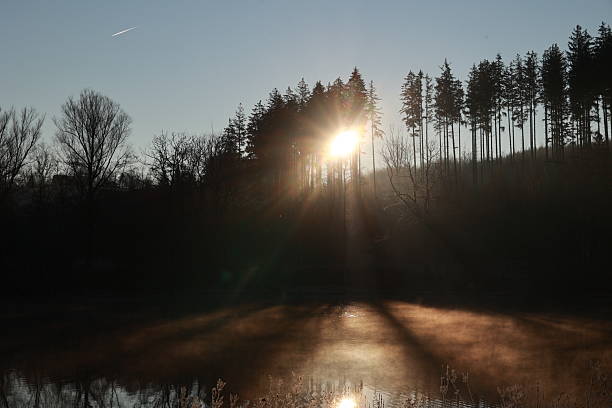 Sun is shining through the trees and casting a shadow on the water. The sky is blue and the sun is low in the sky