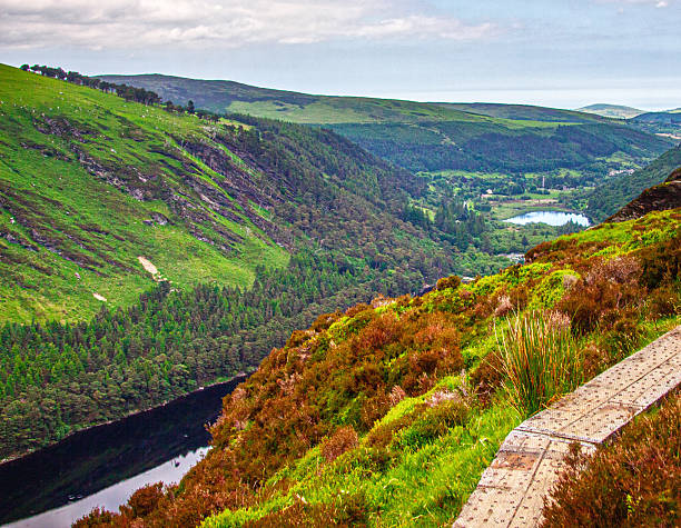 A wooden boardwalk or trail marker sits on a hillside covered in heather and wild grasses in Glendalough, offering a spectacular panoramic view down into the famous glacial valley where both the Upper and Lower Lakes are visible winding through dense forests, with the rolling Wicklow Mountains extending to the horizon under a partly cloudy Irish sky.