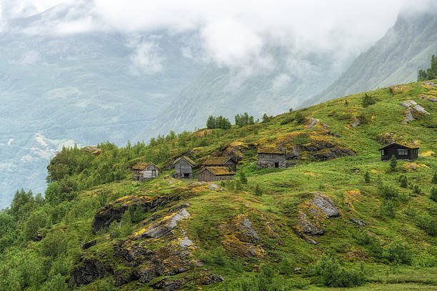 istock Geiranger saeter along route 63 2227076044