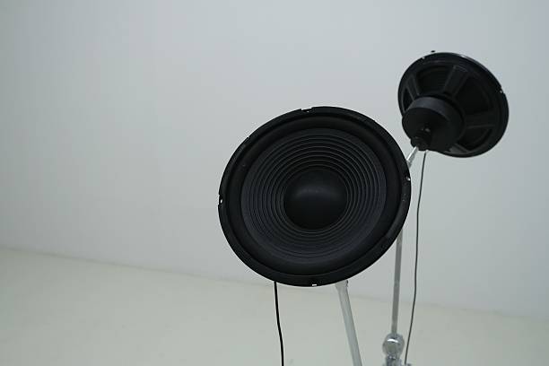 Minimalist studio setup with two large black audio speakers mounted on metal stands against a plain white background, for sound equipment concepts.