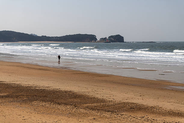 istock tourists walking on the beach with breaking waves in winter 2227076329