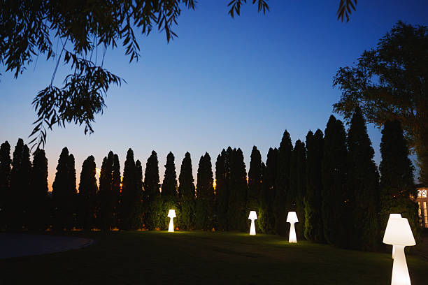 istock Twilight garden with illuminated mushroom lamps set against tall trees 2227076685