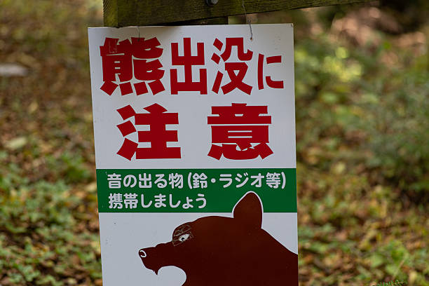 istock Asiatic black bear habitat sign 2227082580