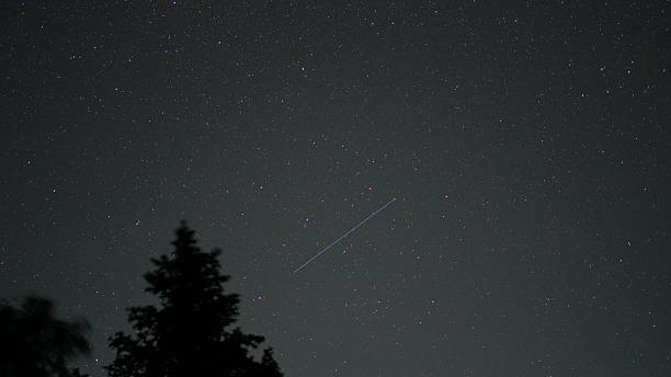 istock Satellite crossing starry night sky with pine trees silhouette 2227088883