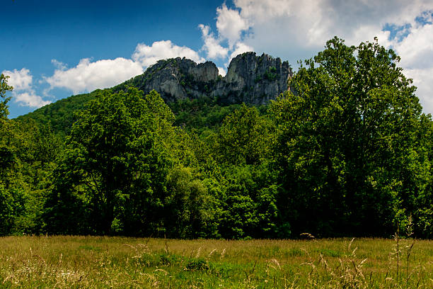 istock Seneca Rocks in Summer, West Virginia 2227092460