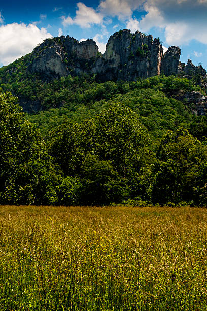 istock Seneca Rocks in Summer, West Virginia 2227092476