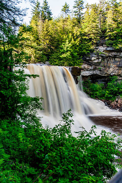 istock Blackwater Falls, Blackwater Falls State Park, West Virginia 2227092734
