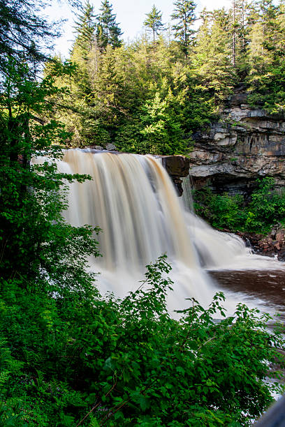 istock Blackwater Falls, Blackwater Falls State Park, West Virginia 2227092780