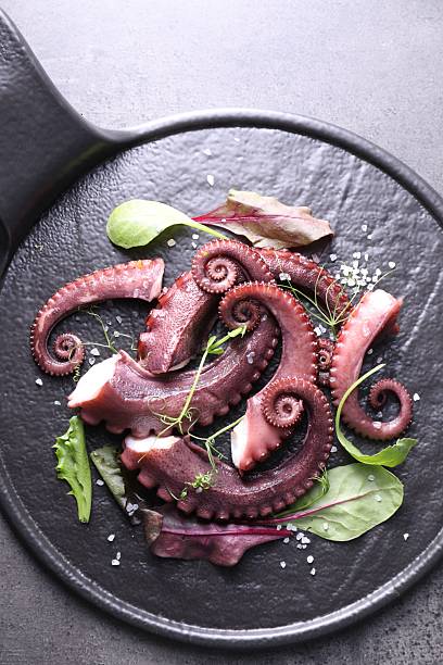 istock Tasty boiled octopus tentacles, microgreens and salt on grey textured table, top view. 2227094046