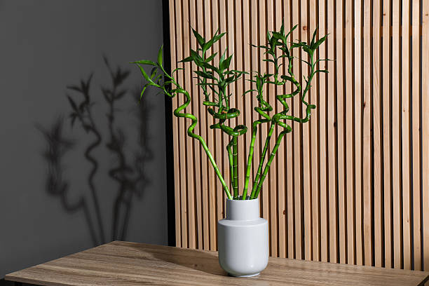 istock Decorative bamboo plant in vase on table 2227094429