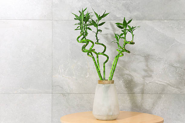 istock Decorative bamboo plant in vase on table near light tiled wall. Space for text 2227094446
