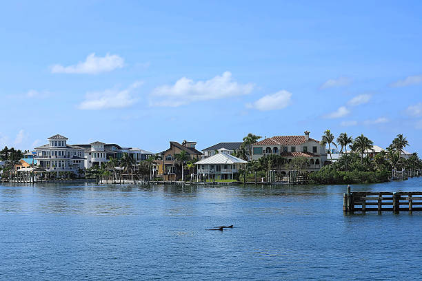 Dolphins swim in the Matanzas Pass Waterways, by waterfront homes, timeshares and resorts, steps away from Times Square in Fort Myers Beach, Florida, USA.