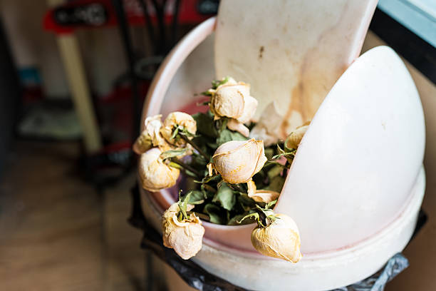 dying flowers found inside tomb
