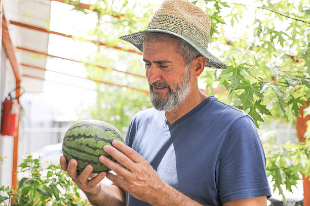 istock Bearded Man With Hat Displaying Ripe Watermelon 2227101504