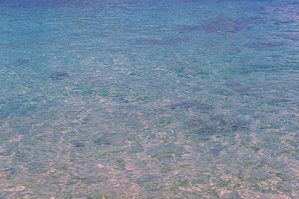 Sea water on a sunny day