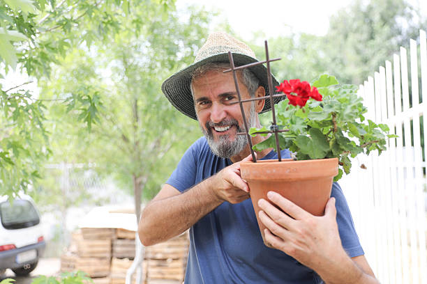 istock Happy Senior Man Gardening With Red Geranium Flower 2227101583