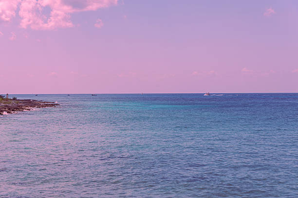 Tropical beach on a sunny day