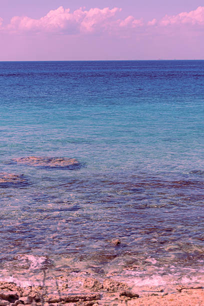 Tropical beach on a sunny day