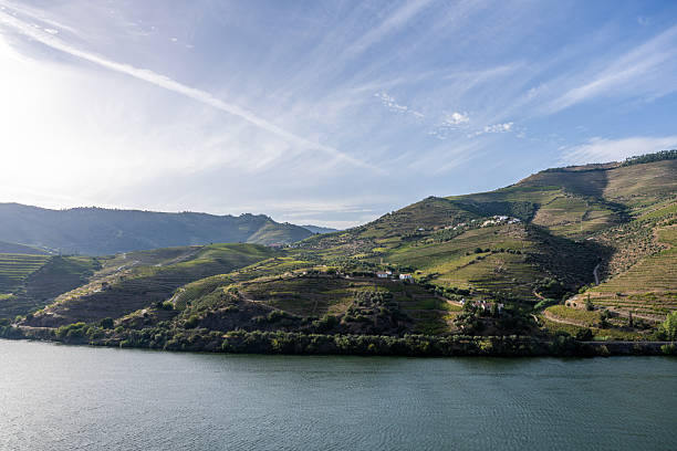 The Douro Valley during a sunrise of summer.